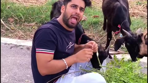 wait wait #funnytiktok #comdey #funnyvideo #funnyvideos #comedyvideo #tiktok #fypage #fypシ゚viraltiktok #funnymoments #viraltiktok