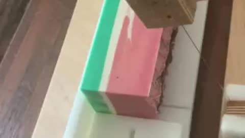 Watermelon Soap