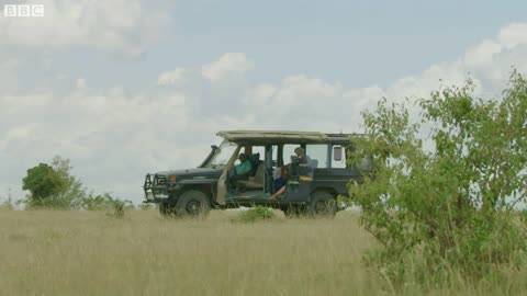 Spotting A Rare Group of 8 Cheetah! | Seven Worlds, One Planet | BBC Earth