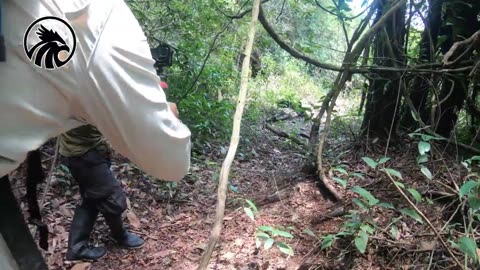 IN SEARCH OF THE GIANT ANACONDA