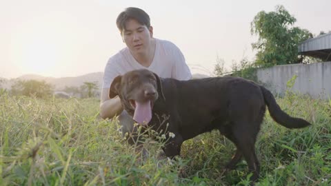 Asian man play with his dog during afternoon walk