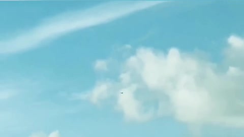 Weird Bird Flying in the Sky