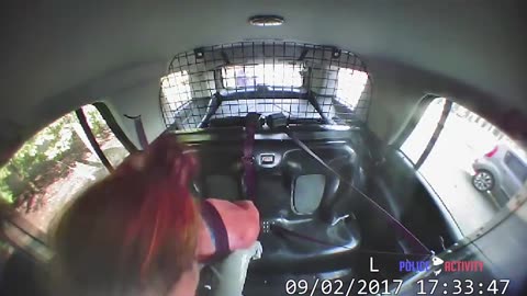 Texas Woman Steals Police Car Then Crashes It During Chase