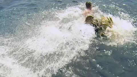 Man gets Slapped by Goliath Grouper!