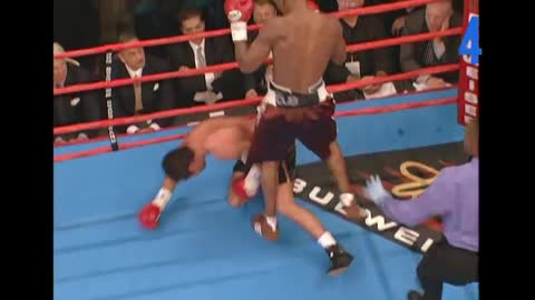 10 Body Shot Knockouts That Destroyed Fighters | Top Rank'd