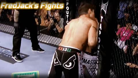 Diego Sanchez vs. Clay Guida Highlights