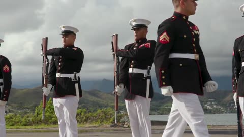 The United States Marine Corps Silent Drill Team. If you’ve never seen this, it’s quite impressive.