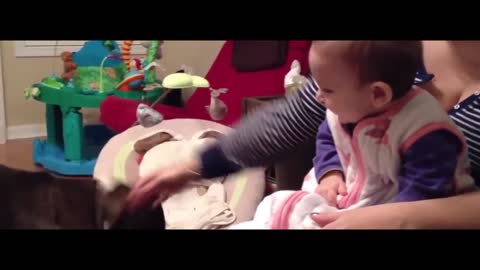 funny babies, funny baby videos, funny dance videos, funnbabies laughing