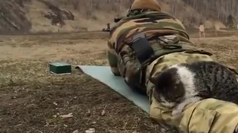 Cat keeping Ukrainian soldiers legs warm while at the shooting range