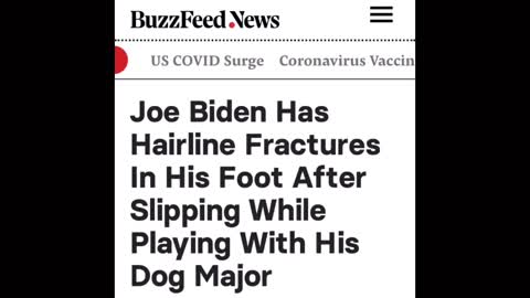 Biden’s Dog