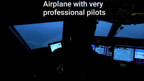 Airplane With Very Professional Pilots