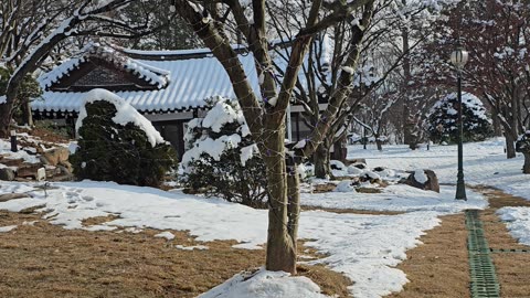 South Korea snowfall best beautiful country