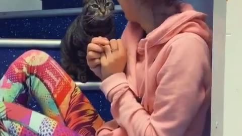 Funny Cat Singing