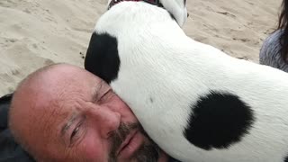 Jack Russell Terrier Over Possessive!