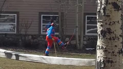 Collab copyright protection - rainbow ski guy on grass in skis
