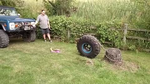 Stump removal with physics.