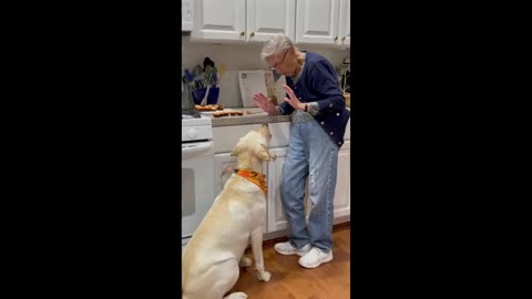 Grandma cuts up muffins into bite size pieces and feeds them to the dog!