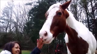 I Love A Horse With Personality