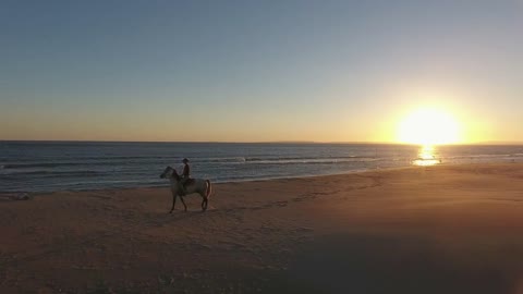 Flying around a horse rider along the sea on a beach during sunset