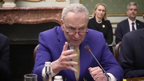Chuck Schumer And Five Other Senators Met With Zelenskyy In Ukraine… Eager To Give Away Your Money