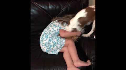Puppy loves to tickle toddler best friend