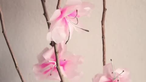 Simple ideas for dry branches Decorating with Twigs Recycling Bottles Making Art at Home12