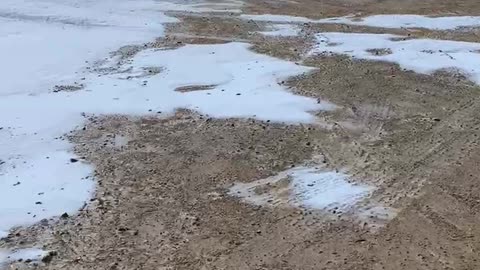 Donuts in the snow