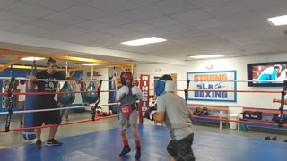 Joey sparring