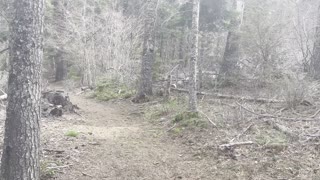 Leaving Mountain Lake Bench – Suttle Lake – Central Oregon – 4K