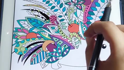 Color fun | porcupine | Mind relaxing video