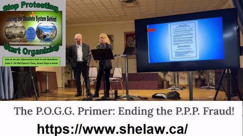 The POGG Primer: Ending the PPP Fraud © Shelagh McFarlane