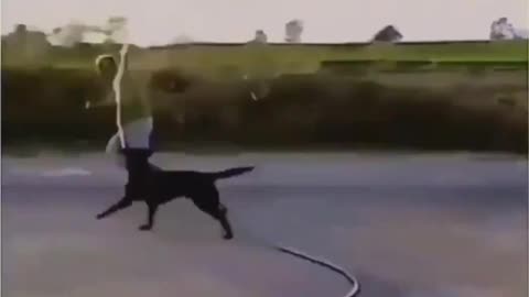 A dog caresses its owner by spraying it with water