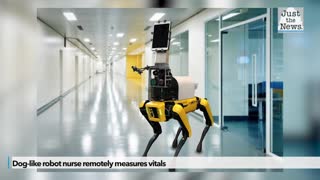 Dog-like robot nurse remotely measures vitals