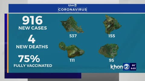 Hawaii reports 916 COVID cases, 4 new deaths
