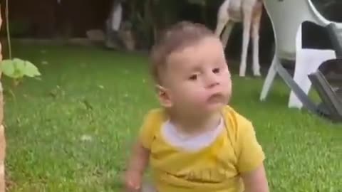 Baby fell from the back of a duck