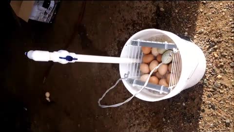 Egg Washer