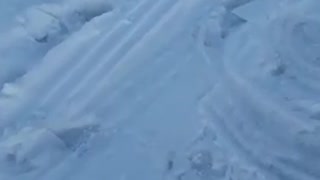 Dog Dragged out of Freezing Predicament