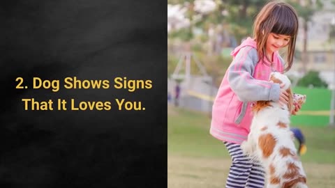 Top 10 Signs Your Dog Is Happy With You!