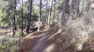 Hiking in the Rain on Deschutes River Trail – Central Oregon – 4K