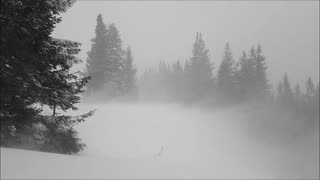 "Winter Wind" - ambient music