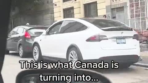 Welcome To Truedeau's Canada