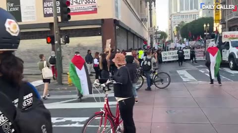 TheDC Shorts - Pro-Palestine Protesters Get Disruptive