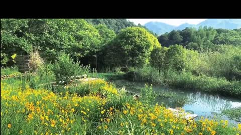 Dandelions and butterflies at the lake