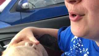 Chihuahua howling with owner