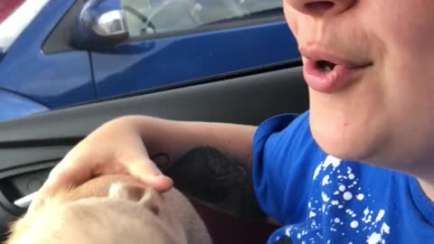 Chihuahua howling with owner