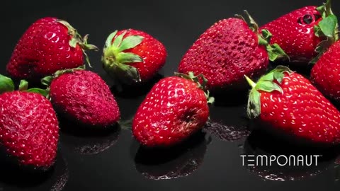 Rotting Strawberry Time-Lapse