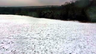 2021 Snow at Cedar Hill