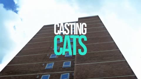 casting cats