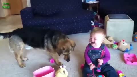 Adorable dog play with baby see the reaction of baby 👶 😍