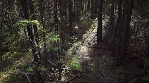 A Woman Walking in the Middle of the Forest